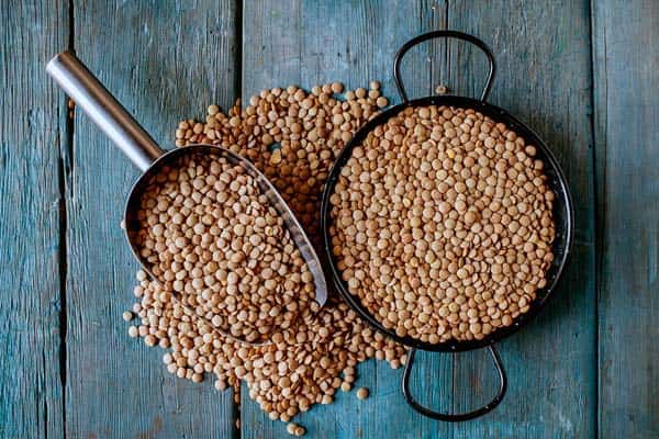 خرید و قیمت عدس درجه یک + فروش عمده